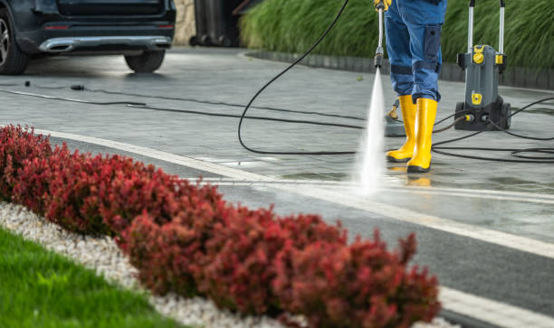 Best Factory Floor Cleaning  in Chicago Heights, IL